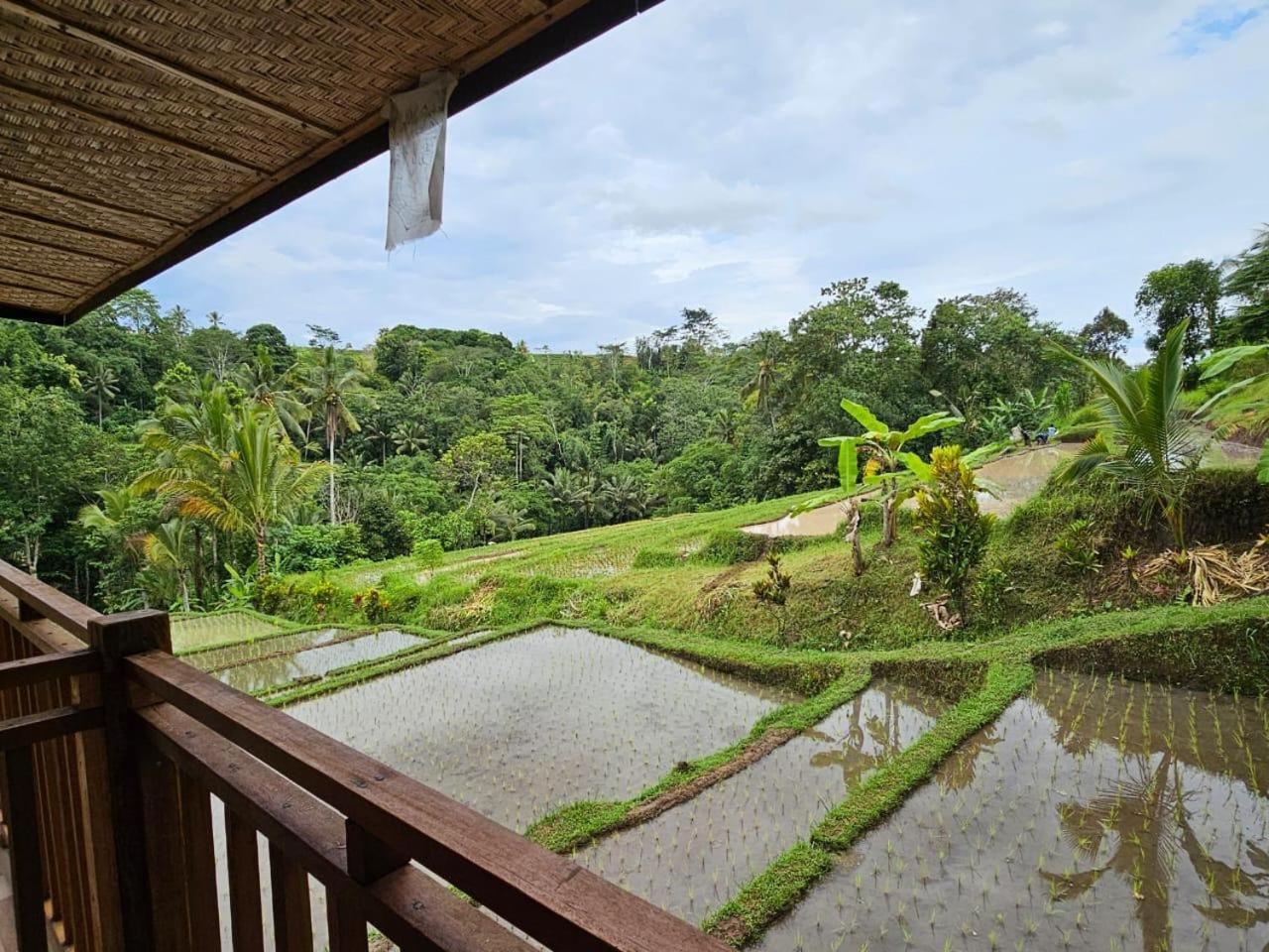 Umauthu Bali Villa Tabanan  Bagian luar foto